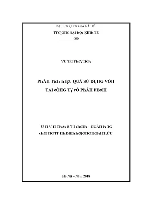 Luận văn phân tích hiệu quả sử dụng vốn tại công ty cổ phần fecon