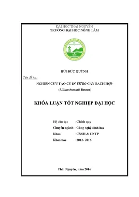 Luận văn nghiên cứu tạo củ in vitro cây bách hợp lilium brownii brown