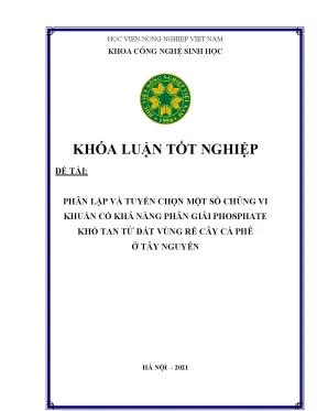 Phân lập và tuyển chọn một số chủng vi khuẩn có khả năng phân giải phosphate khó tan từ đất vùng rễ cây cà phê ở tây nguyên