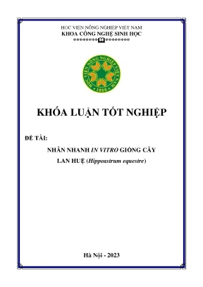 Nhân nhanh in vitro giống cây lan huệ hippeastrum equestre