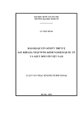 Luận văn bảo hộ quyền sở hữu trí tuệ sau khi gia nhập wto kinh nghiệm quốc tế và gợi ý đối với việt nam