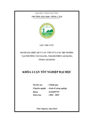 Luận văn đánh giá hiệu quả vay vốn của các hộ nghèo tại phường tân giang thành phố cao bằng tỉnh cao bằng