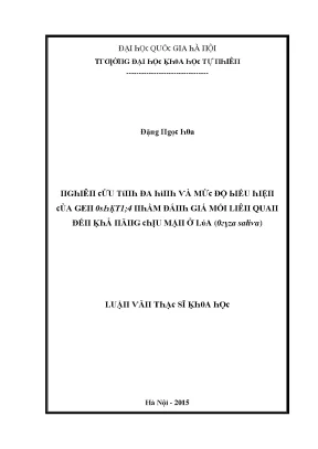 Nghiên cứu tính đa hình và mức độ biểu hiện của gen oshkt14 nhằm đánh giá mối liên quan đến khả năng chịu mặn ở lúa oryza sativa vnu lvts09