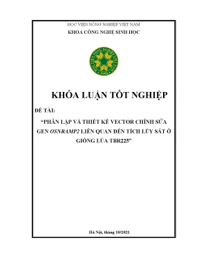 Phân lập và thiết kế vector chỉnh sửa gen osnramp2 liên quan đến tích lũy sắt ở giống lúa tbr225