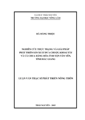 Luận văn nghiên cứu thực trạng và giải pháp phát triển sản xuất dưa chuột khoai tây và cà chua hàng hóa ở huyện tân yên tỉnh bắc giang