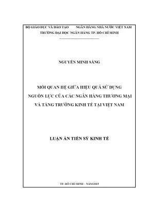 Luận văn mối quan hệ giữa hiệu quả sử dụng nguồn lực của các ngân hàng thương mại và tăng trưởng kinh tế tại việt nam