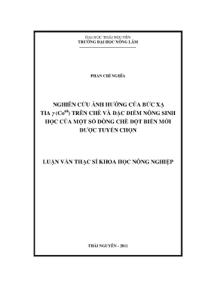 Luận văn nghiên cứu ảnh hưởng của bức xạ tia γ co60 trên chè và đặc điểm nông sinh học của một số dòng chè đột biến mới được tuyển chọn