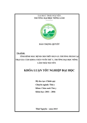 Luận văn tình hình mắc bệnh crd trên đàn gà thương phẩm tại trại gia cầm khoa chăn nuôi thú y trường đại học nông lâm thái nguyên