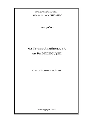 Luận văn ma trận đơn môđula và các đa diện nguyên