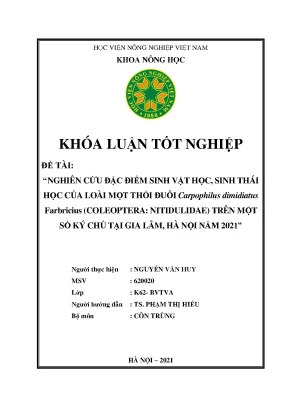 Nghiên cứu đặc điểm sinh vật học sinh thái học của loài mọt thòi đuôi carpophilus dimidiatus farbricius coleoptera nitidulidae trên một số ký chủ tại gia lâm hà nội năm 2021