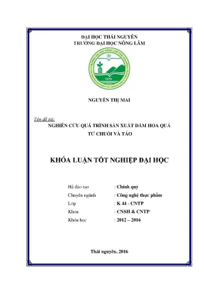 Luận văn nghiên cứu quá trình sản xuất dấm hoa quả từ chuối và táo