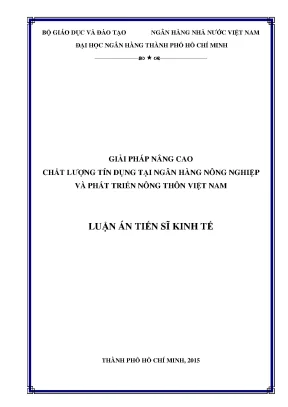 Luận văn giải pháp nâng cao chất lượng tín dụng tại ngân hàng nông nghiệp và phát triển nông thôn việt nam