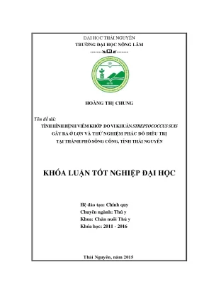 Luận văn tình hình bệnh viêm khớp do vi khuẩn streptococcus suis gây ra ở lợn và thử nghiệm phác đồ điều trị tại thành phố sông công tỉnh thái nguyên