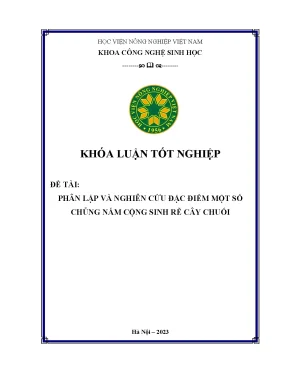 Phân lập và nghiên cứu đặc điểm một số chủng nấm cộng sinh rễ cây chuối