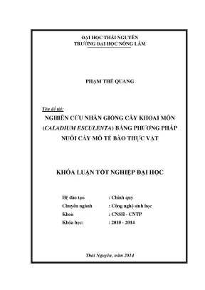 Luận văn nghiên cứu nhân giống cây khoai môn caladium esculenta bằng phương pháp nuôi cấy mô tế bào thực vật