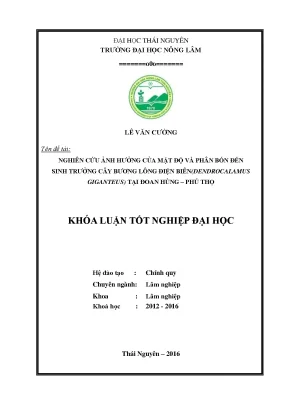 Luận văn nghiên cứu ảnh hưởng của mật độ và phân bón đến sinh trưởng của cây bương lông điện biên dendrocalamus giganteus tại đoan hùng phú thọ