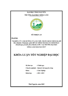 Nghiên cứu ảnh hưởng của giá thế thuốc kích thích ra rễ iba đến khả năng hình thành cây hom phay duabanga grandis flora roxb ex dc tại trường đại học nông lâm thái nguyên