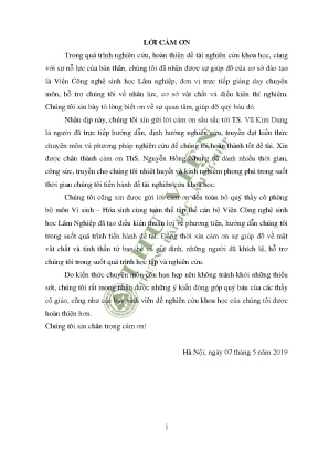 2019 k60 cnsh chu thi thuy dung
