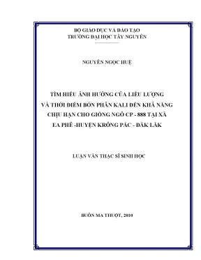 Tìm hiểu ảnh hưởng của liều lượng và thời điểm bón phân kali đến khả năng chịu hạn cho giống ngô cp 888 tại xã eaphê huyện krông pắc tỉnh đăk lăk