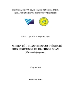 Nghiên cứu hoàn thiện quy trình chế biến nước uống từ trái hồng quân flacourtia jangomas