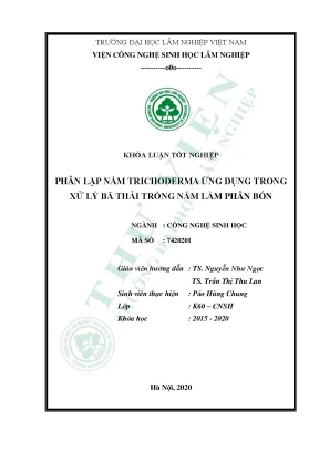 2020 k60 cnsh pao hung chung