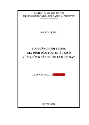 Bình đẳng giới trong gia đình dân tộc thiểu số ở vùng đông bắc nước ta hiện nay