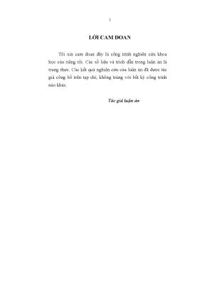 Đầu tư phát triển kinh tế thủ đô viêng chăn giai đoạn 2007 2011 và tầm nhìn đến năm 2020