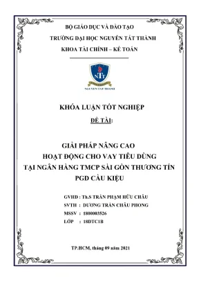 Giải pháp nâng cao hoạt động cho vay tiêu dùng tại ngân hàng tmcp sài gòn thương tín