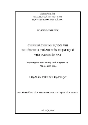 Chính sách hình sự đối với người chưa thành niên phạm tội ở việt nam hiện nay