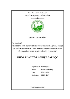 Luận văn tình hình mắc bệnh viêm tử cung ở đàn lợn nái ngoại và thử nghiệm một số phác đồ điều trị tại công ty cổ phần bình minh huyện mỹ đức hà nội