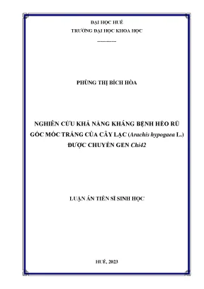Nghiên cứu khả năng kháng bệnh héo rũ gốc mốc trắng của cây lạc arachis hypogaea l được chuyển gen chi42