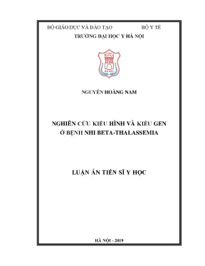 Nghiên cứu kiểu hình và kiểu gen ở bệnh nhi beta thalassmia
