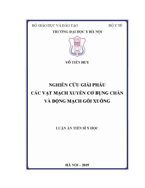Nghiên cứu giải phẫu các vạt mạch xuyên cơ bụng chân và động mạch gối xuống