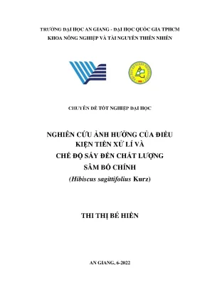 Nghiên cứu ảnh hưởng của điều kiện tiền xử lí và chế độ sấy đến chất lượng sâm bố chính hibiscus sagittifolius kurz