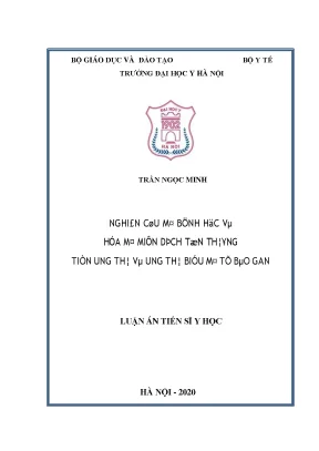 Nghiên cứu mô bệnh học và hóa mô miễn dịch tổn thương tiền ung thư và ung thư biểu mô tế bào gan