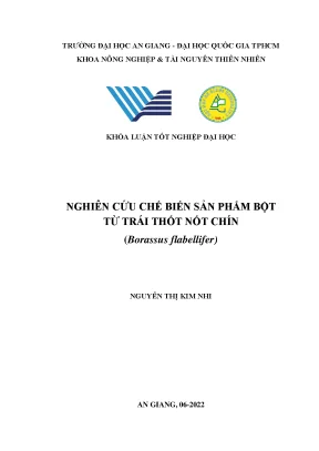 Nghiên cứu chế biến sản phẩm bột từ trái thốt nốt chín borassus flabellifer
