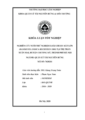 2020 k61 qltnr pham ngoc nam