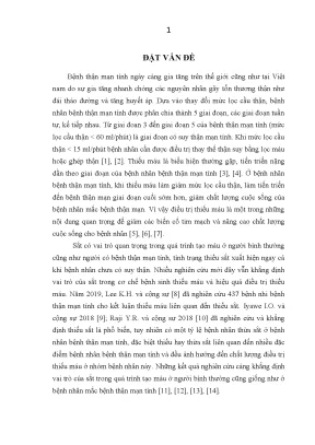 Nghiên cứu nồng độ sắt ferritin và khả năng gắn sắt toàn phần trong huyết tương ở bệnh nhân bệnh thận mạn tính chưa điều trị thay thế thận