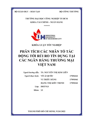 Phân tích các nhân tố tác động tới rủi ro tín dụng tại các ngân hàng thương mại việt nam
