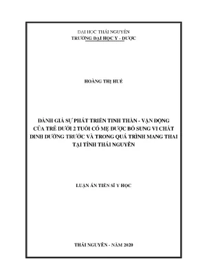 Đánh giá sự phát triển tinh thần vận động của trẻ dưới 2 tuổi có mẹ được bổ sung vi chất dinh dưỡng trước và trong quá trình mang thai tại tỉnh thái nguyên ts