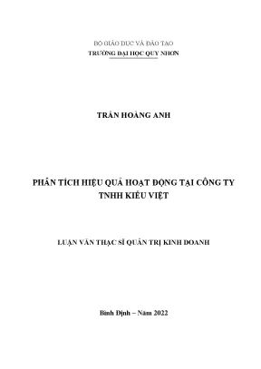 Phân tích hiệu quả hoạt động tại công ty tnhh kiểu việt