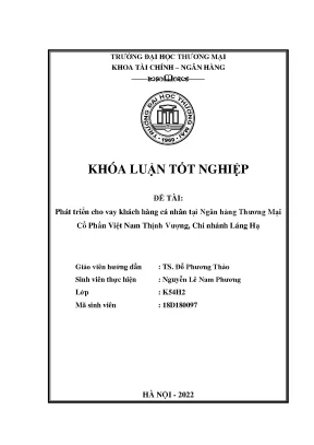Phát triển cho vay khách hàng cá nhân tại ngân hàng thƣơng mại cổ phần việt nam thịnh vƣợng chi nhánh láng hạ