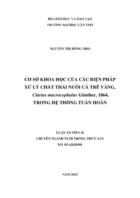 Cơ sở khoa học của các biện pháp xử lý chất thải nuôi cá trê vàng clarias macrocephalus günther 1864 trong hệ thống tuần hoàn