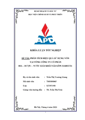Chuyên ngành kinh tế đầu tư phân tích hiệu quả sử dụng vốn tại tổng công ty cổ phần bia rượu nước giải khát sài gòn