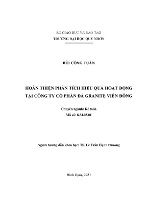 Hoàn thiện phân tích hiệu quả hoạt động tại công ty cổ phần đá granite viễn đông