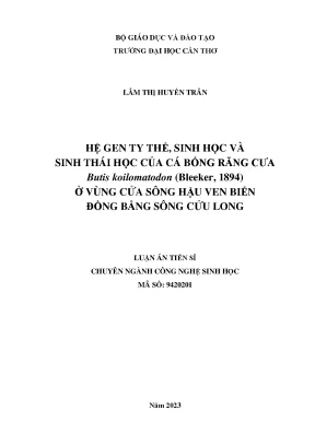 Hệ gen ty thể sinh học và sinh thái học của cá bống răng cưa butis koilomatodon bleeker 1894 ở vùng cửa sông hậu ven biển đồng bằng sông cửu long