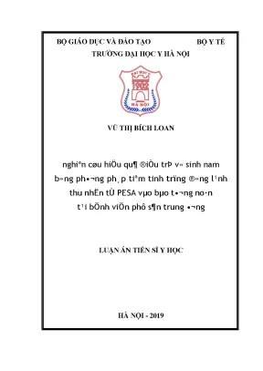 Nghiên cứu hiệu quả điều trị vô sinh nam bằng phương pháp tiêm tinh trùng đông lạnh thu nhận từ pesa vào bào tương noãn tại bệnh viện phụ sản trung ương