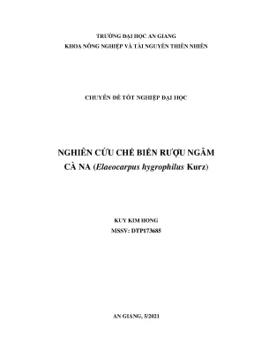 Nghiên cứu chế biến rượu ngâm cà na elaeocarpus hygrophilus kurz