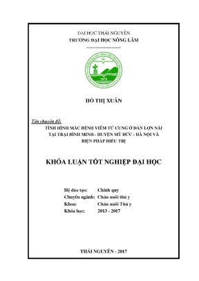 Luận văn tình hình mắc bệnh viêm tử cung ở đàn lợn nái tại trại bình minh huyện mỹ đức hà nội và biện pháp điều trị