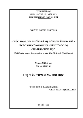 Cuộc sống của những bà mẹ đơn thân ở các khu công nghiệp nhìn từ góc độ chính sách xã hội nghiên cứu trường hợp khu công nghiệp sóng thần tỉnh bình dương